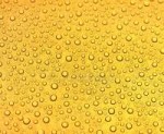 goldenrain.jpg