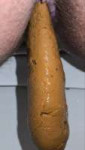 IMG20250203134053760.jpg