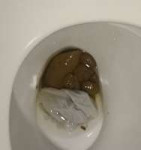 IMG20250204022641437.jpg