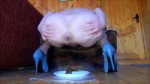 hard-extreme.comdft2124.mp4