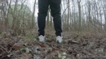 11820240.mp4