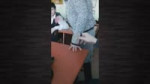 56cebd0e35b7270abdccd410dab6ee59.webm