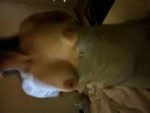 IMG4895.jpeg