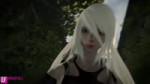 3297348.webm