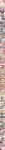 sampleff37d24813b97dfad21a44591bd0cff8.jpg