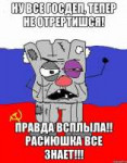 153537962orig.jpeg
