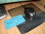P1010001.JPG