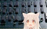 geek-neko.png