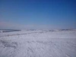 DSC0129.JPG