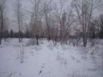 DSC0173.JPG