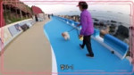STAYCs Secret in Busan EP (2).webm