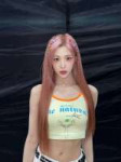7849595.jpg