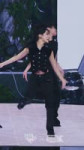 Koko (2).webm