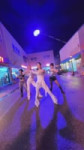 Cosmosy (3).mp4
