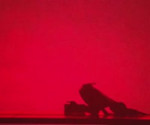 1782550575776291.webm