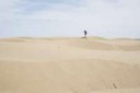 DSC00353.jpg