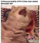 dkKKhnpIE9I.jpg