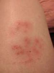 IMG20171110162143.jpg