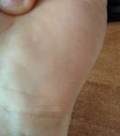 IMG3.jpg