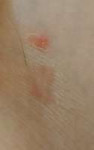 IMG20190310200012.jpg