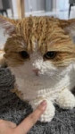 TikDownloader.io7484980159498439953hd.mp4