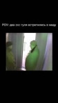 638.mp4