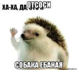 1741279026021.png