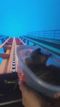 17654710438330.mp4