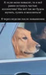 hffexines0f0d8m0720x1162.mp4