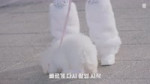 IVE 아이브 MV BANG BANG - Behind The Scenes [jqEhH1V1Rw].webm