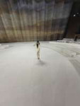 Anna (14).webp