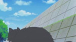 [SubsPlease] Meitantei Precure! - 16 (1080p) [76918B7B]-[08.17.623-08.24.962]-audio.webm