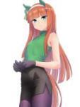 silencesuzukaumamusumedrawnbykatsushikayukicc35c209b28586ffb44a943b6788ebdc.jpg