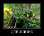 1703285321460.jpg