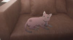 Reborn.as.a.Cat.S01E05.1080p.BILI.WEB-DL.ZHO.AAC2.0.H.265.MSubs-ToonsHub-[02.35.750-02.39.708]-audio.webm