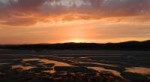 DSCN1239.jpg