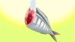 vlcsnap-2022-01-28-22h34m08s299.jpg