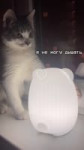 ♥