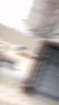 7060852440534387969.mp4