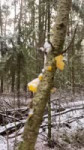 7038293212070497537.mp4