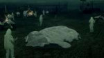 vlcsnap-2022-05-07-21h52m55s029.jpg