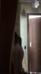 16607247838680.mp4