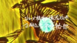 .webm