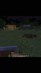 .mp4