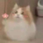 1683965586393.jpg
