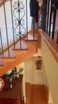 TikTok video #7322683401675312392.mp4