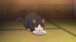 vlcsnap-2024-07-05-14h49m37s505.jpg