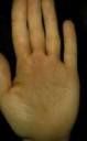 20161216022308-1.jpg