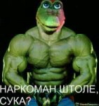 ракодил.jpg