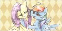 172430safeartist-colon-flutterdashwhorefluttershyrainbow+da[...].png